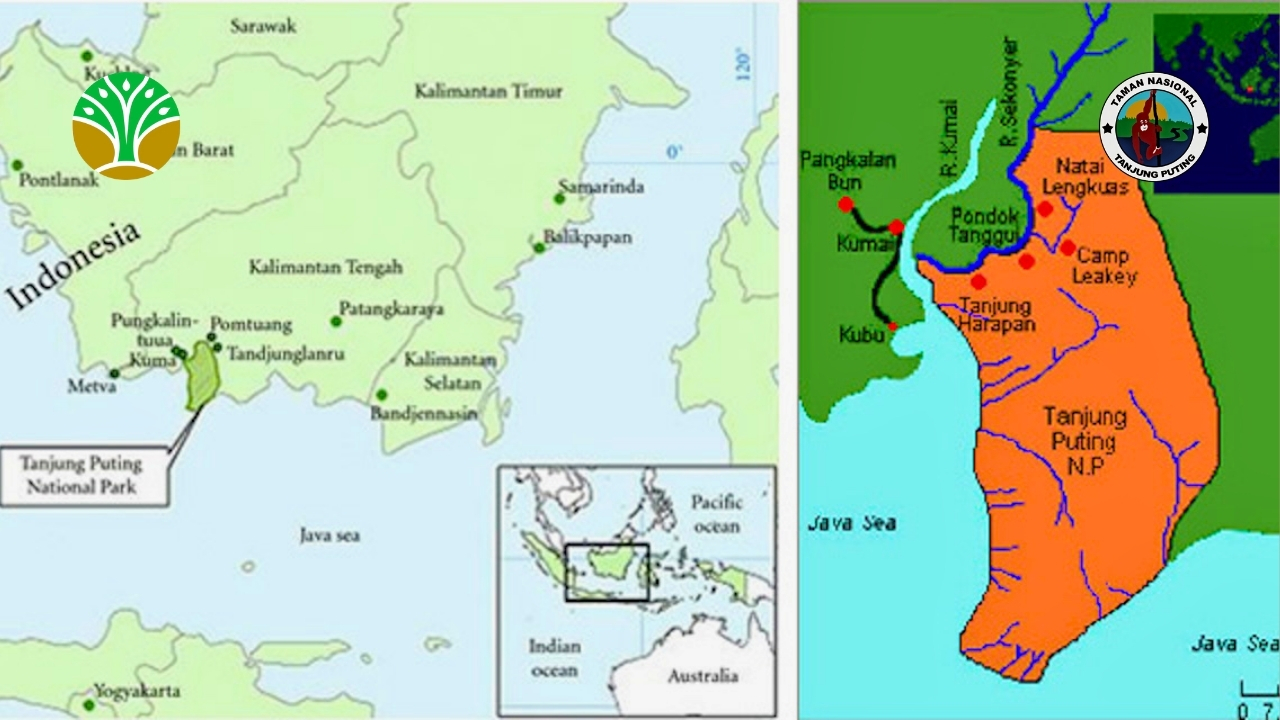 Kekayaan Kawasan Konservasi Alam Kawasan Taman Nasional Tanjung Puting