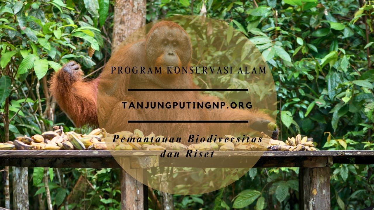 Pemantauan Biodiversitas dan Riset