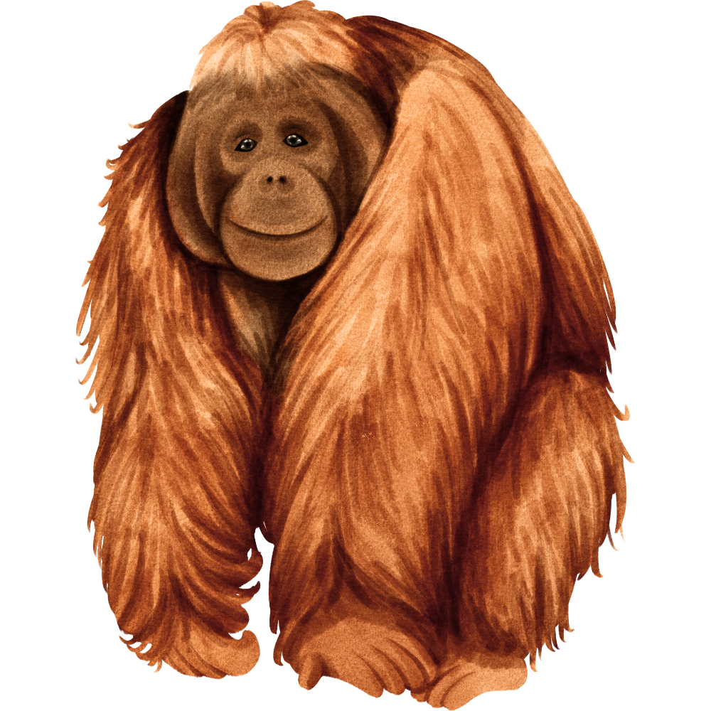 Perlindungan Habitat Orangutan