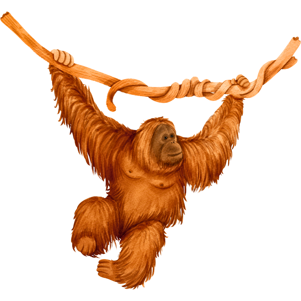 Perlindungan Orangutan Kalimantan