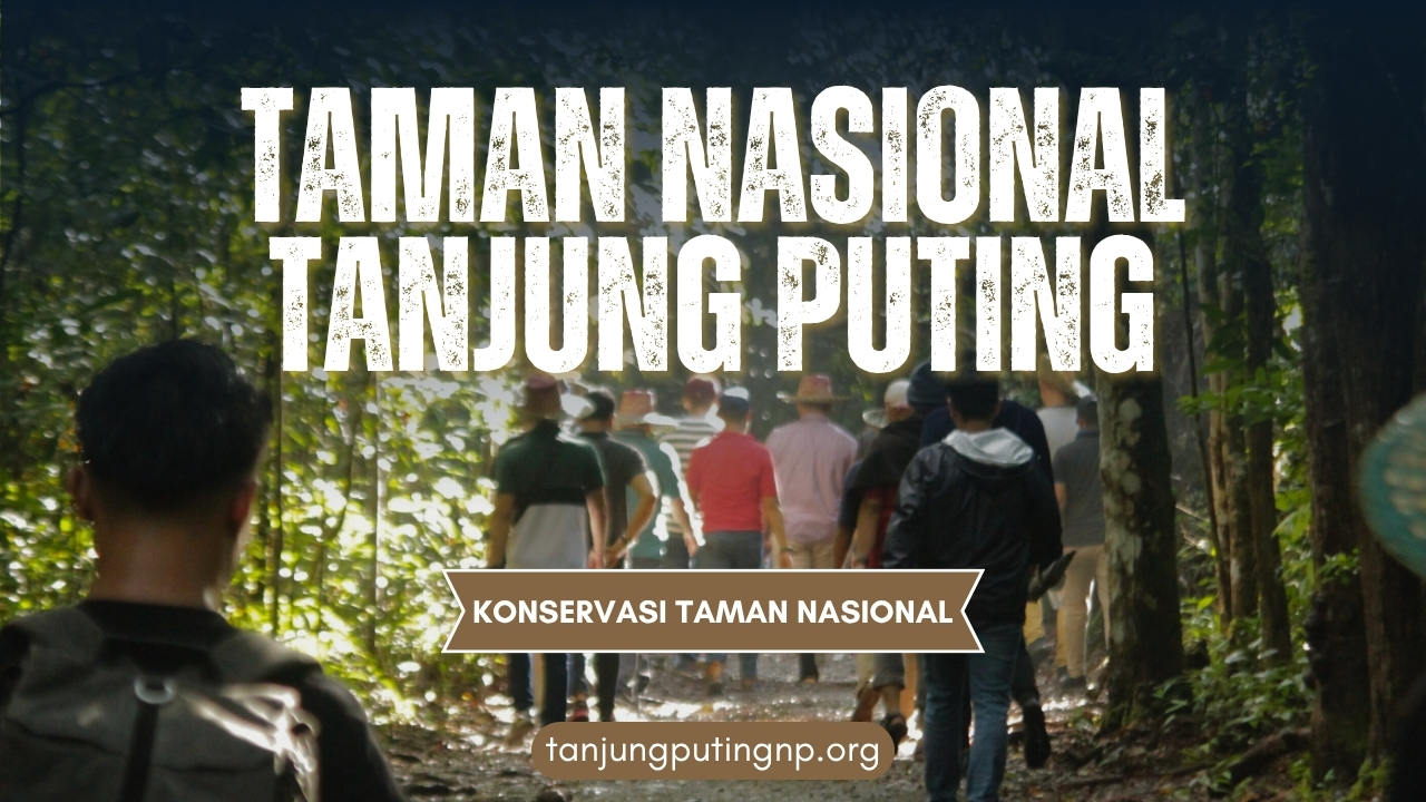 Selamat Datang di Taman Nasional Tanjung Puting