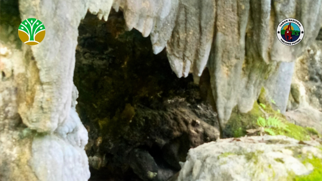 Taman Nasional Bogani Nani Wartabone - Sulawesi Utara