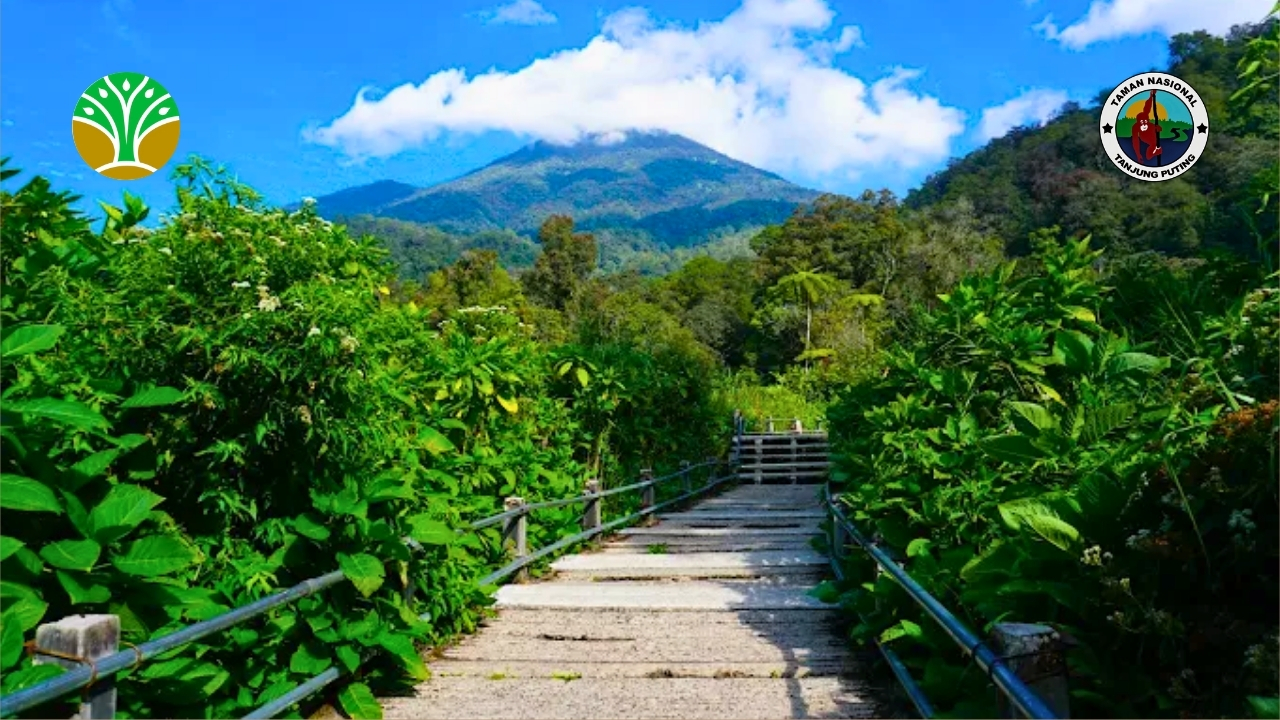 Taman Nasional Gunung Gede Pangrango