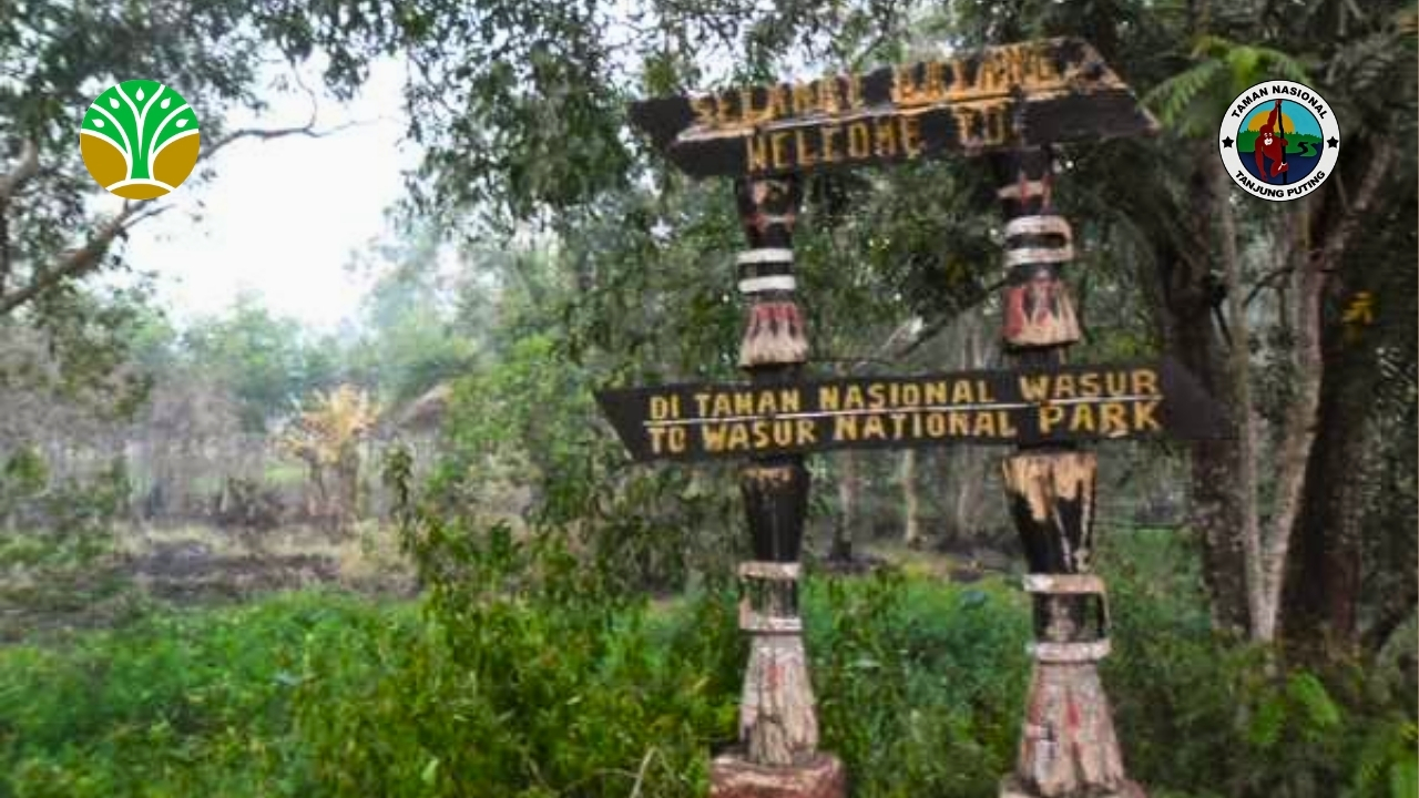 Taman Nasional Wasur